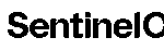 Sentinel One